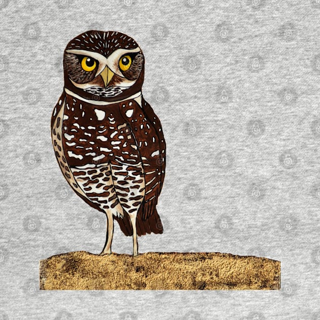 Burrowing Owl by Peleegirl